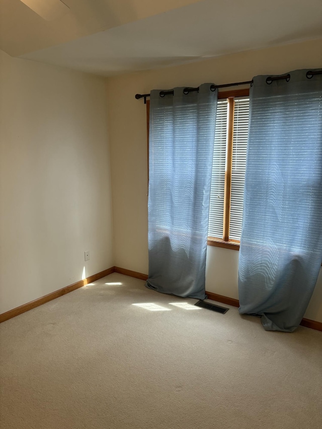 27382 Birmingham Ct, Paw Paw, MI 49079 - photo 23