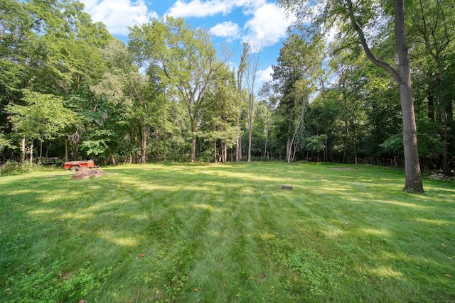 2933 Robinson Rd, Jackson, MI 49203 - photo 46