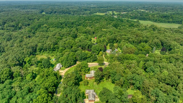 2933 Robinson Rd, Jackson, MI 49203 - photo 53