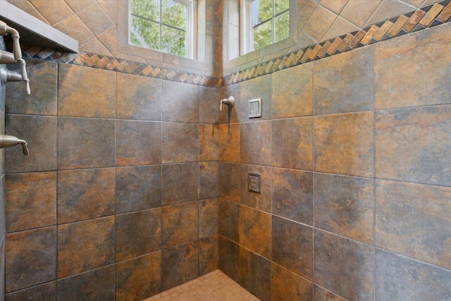 70413 Conrad Rd, Niles, MI 49120 - photo 27
