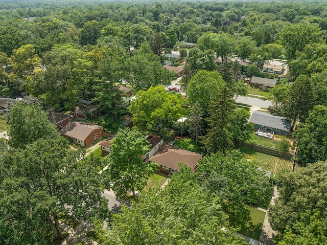 1049 Hasper Dr, Ann Arbor, MI 48103 - photo 46