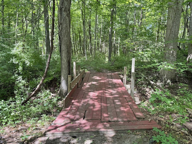 627 N Cooper St, Newaygo, MI 49337 - photo 23