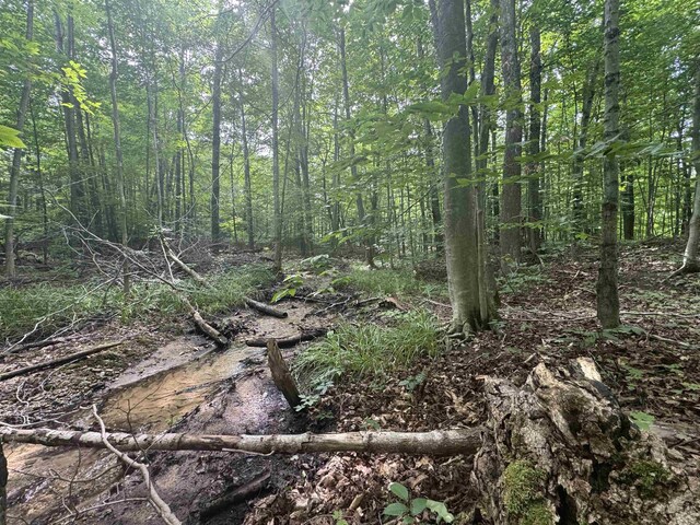 0 Six Mile Lake Rd, Ellsworth, MI 49729 - photo 11