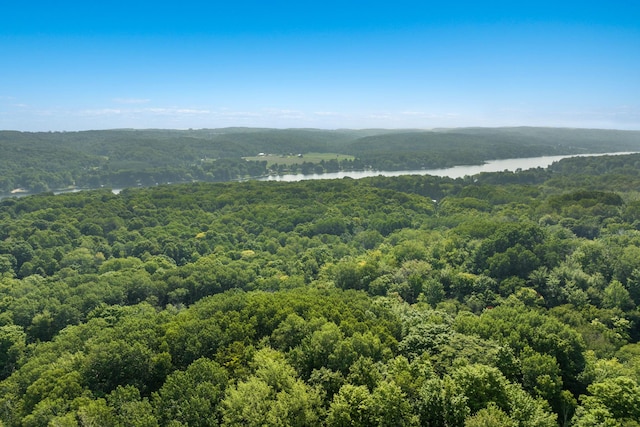 0 Six Mile Lake Rd, Ellsworth, MI 49729 - photo 2