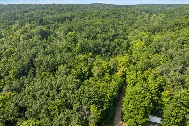 0 Six Mile Lake Rd, Ellsworth, MI 49729 - photo 3