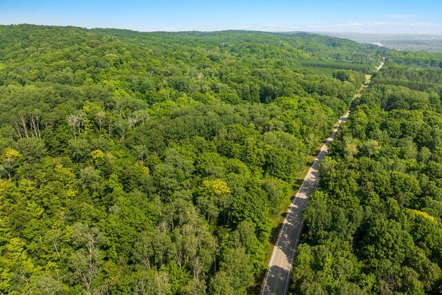 0 Six Mile Lake Rd, Ellsworth, MI 49729 - photo 4
