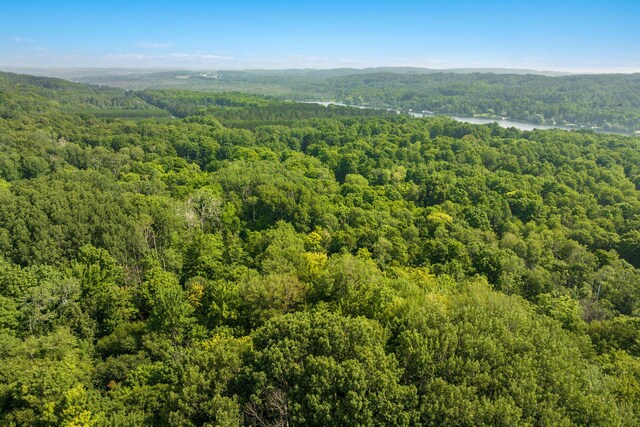 0 Six Mile Lake Rd, Ellsworth, MI 49729 - photo 7