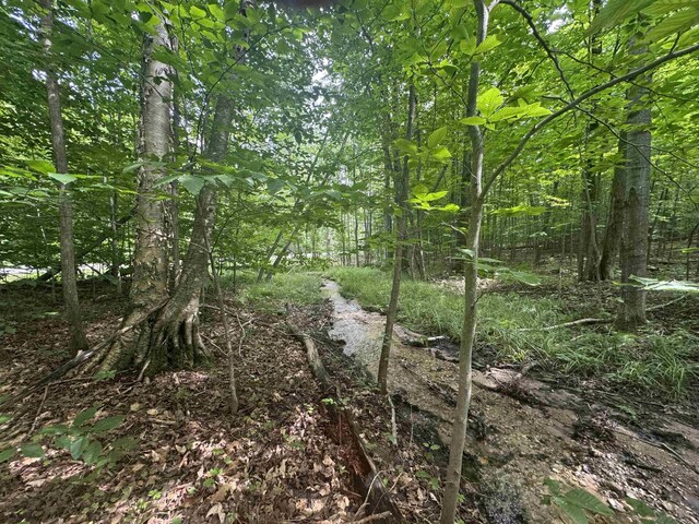 0 Six Mile Lake Rd, Ellsworth, MI 49729 - photo 8