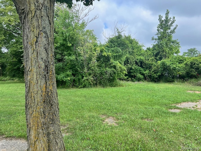9155 Delmar St, Detroit, MI 48211 - photo 5