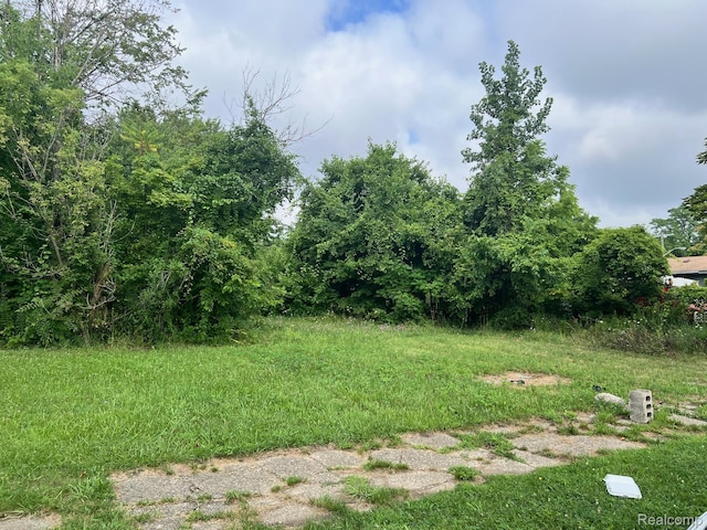 9155 Delmar St, Detroit, MI 48211 - photo 7