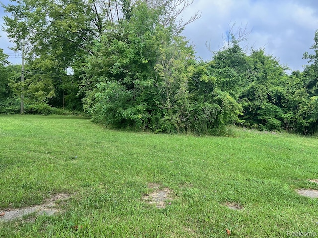 9155 Delmar St, Detroit, MI 48211 - photo 1