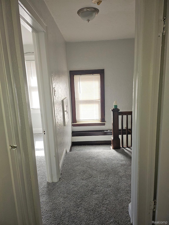 15888 Ohio St, Detroit, MI 48238 - photo 2