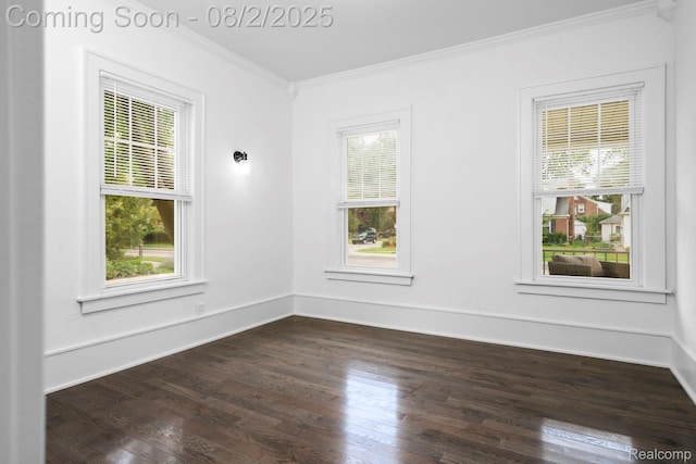1402 Catalpa Dr, Royal Oak, MI 48067 - photo 7