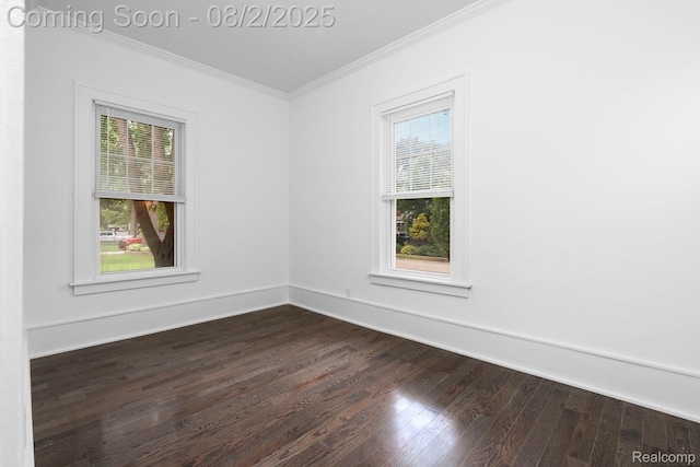 1402 Catalpa Dr, Royal Oak, MI 48067 - photo 9
