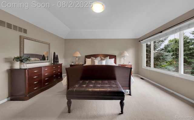 24765 Cavendish Ave E, Novi, MI 48375 - photo 29