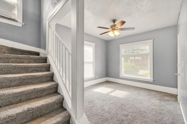 269 Euclid St, Mount Clemens, MI 48043 - photo 19