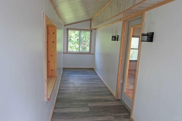 11135 Ditch Rd, Oakley, MI 48649 - photo 30