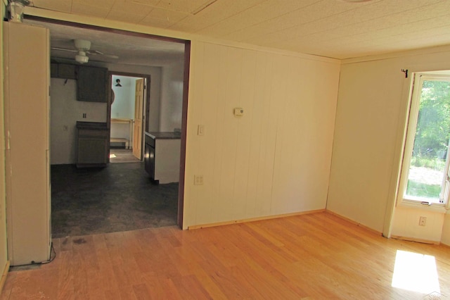 11135 Ditch Rd, Oakley, MI 48649 - photo 16