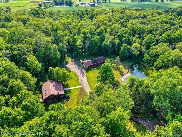 15060 Van Syckle Ct, Gregory, MI 48137 - photo 6