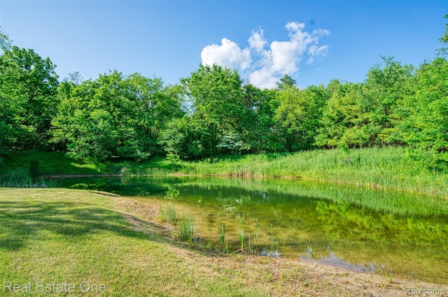 15060 Van Syckle Ct, Gregory, MI 48137 - photo 33