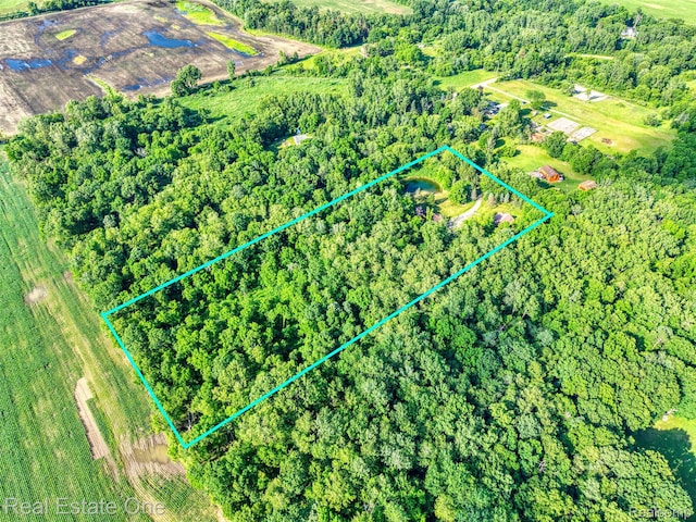15060 Van Syckle Ct, Gregory, MI 48137 - photo 35
