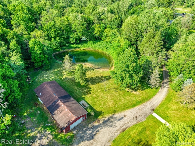 15060 Van Syckle Ct, Gregory, MI 48137 - photo 30