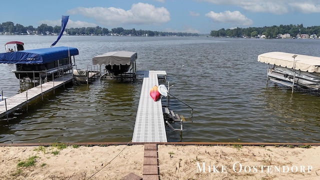 6342 Lakeshore Dr, Saranac, MI 48881 - photo 44