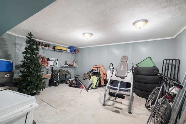 13644 152nd Ave, Grand Haven, MI 49417 - photo 16