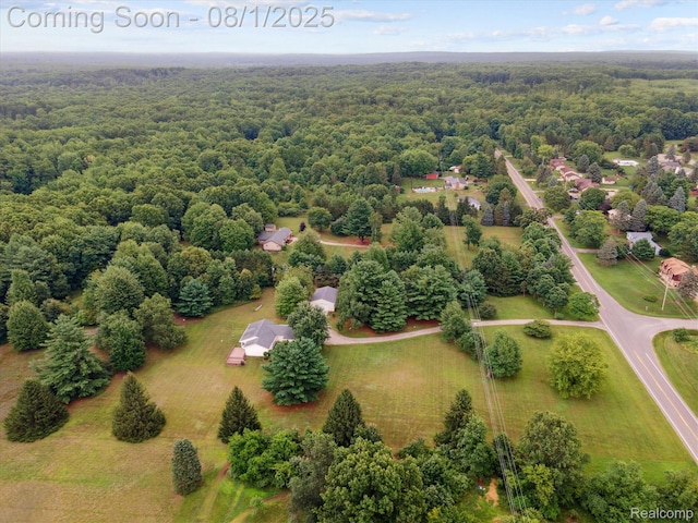 1355 E Sawdust Corners Rd, Lapeer, MI 48446 - photo 50