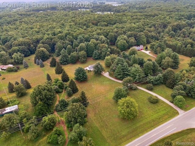 1355 E Sawdust Corners Rd, Lapeer, MI 48446 - photo 48