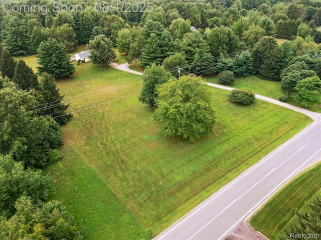 1355 E Sawdust Corners Rd, Lapeer, MI 48446 - photo 54