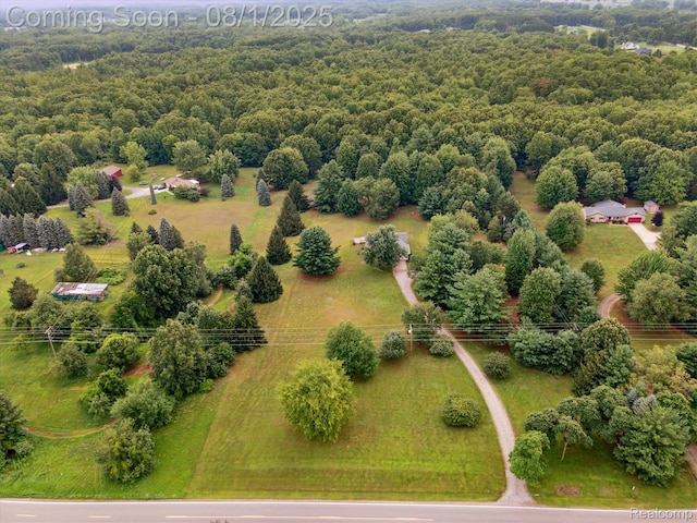 1355 E Sawdust Corners Rd, Lapeer, MI 48446 - photo 49