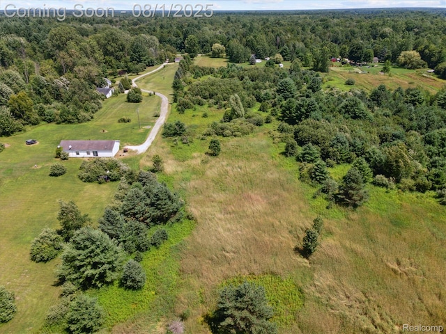 1355 E Sawdust Corners Rd, Lapeer, MI 48446 - photo 55