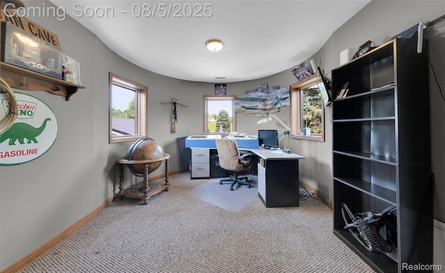 2499 Jossman Rd, Holly, MI 48442 - photo 29