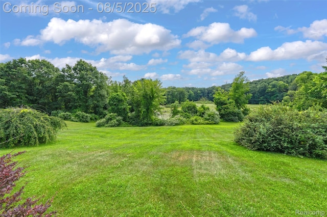 2499 Jossman Rd, Holly, MI 48442 - photo 34
