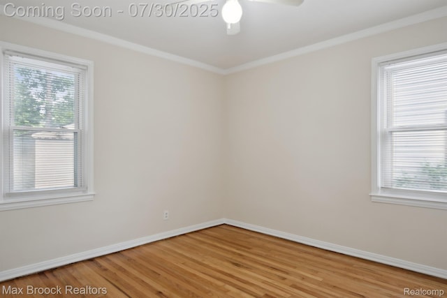 20539 Woodworth St, Redford, MI 48240 - photo 19
