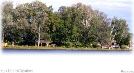 3142 Mapledale St, Commerce Twp, MI 48382 - photo 36