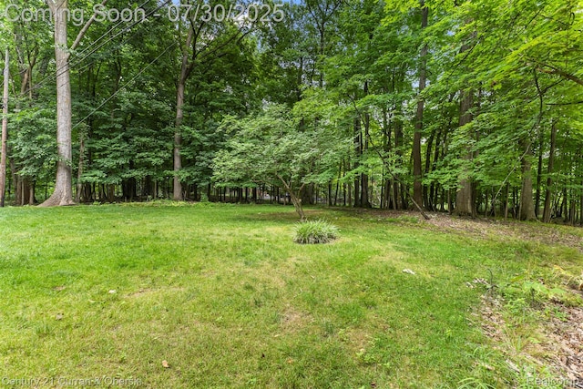 1511 Gracedale Dr, Rochester Hills, MI 48309 - photo 27