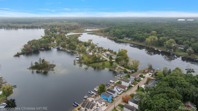 8873 Lagoon Dr, Brighton, MI 48116 - photo 48