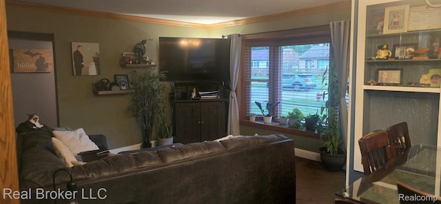 11060 Flamingo St, Livonia, MI 48150 - photo 8