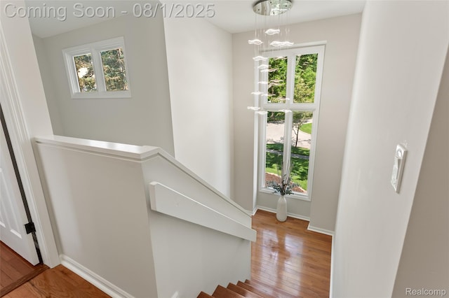 6890 Duchess Ct, Troy, MI 48098 - photo 42