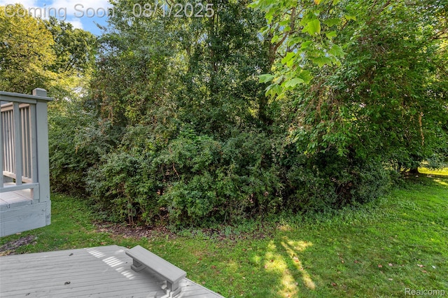 6890 Duchess Ct, Troy, MI 48098 - photo 62
