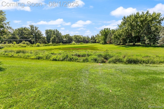 6890 Duchess Ct, Troy, MI 48098 - photo 64