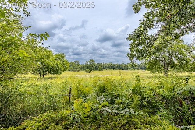 9618 Ridge Top Trl, Clarkston, MI 48348 - photo 31