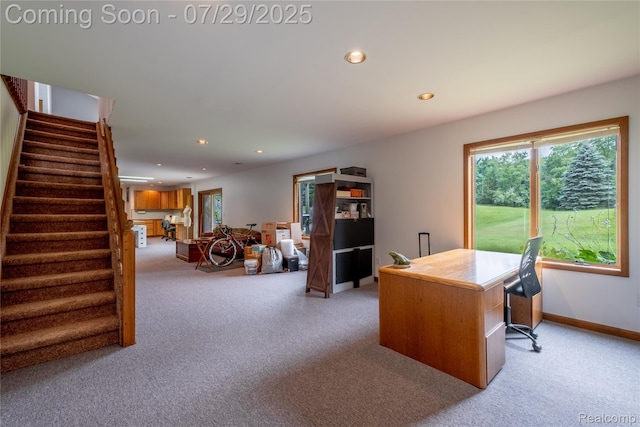 4536 Stoney Acres Ln, Highland, MI 48357 - photo 23