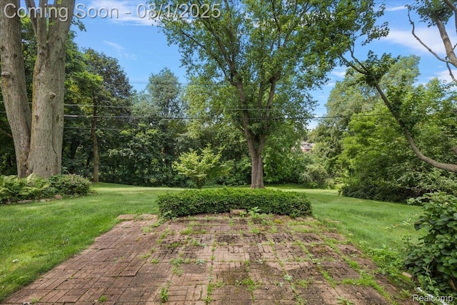 4110 Orchard Hill Dr, Bloomfield Hills, MI 48304 - photo 30