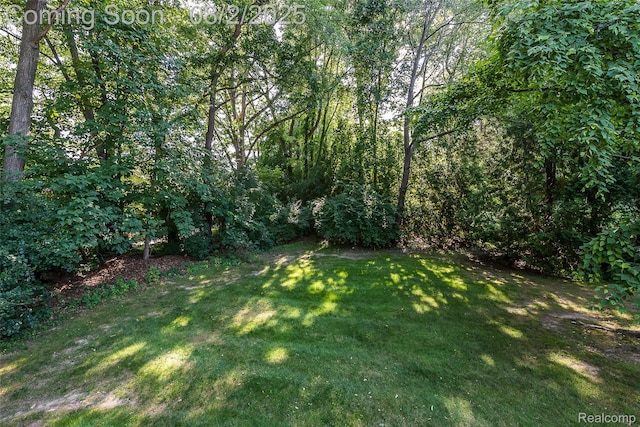978 Alpine Dr, Brighton, MI 48116 - photo 40