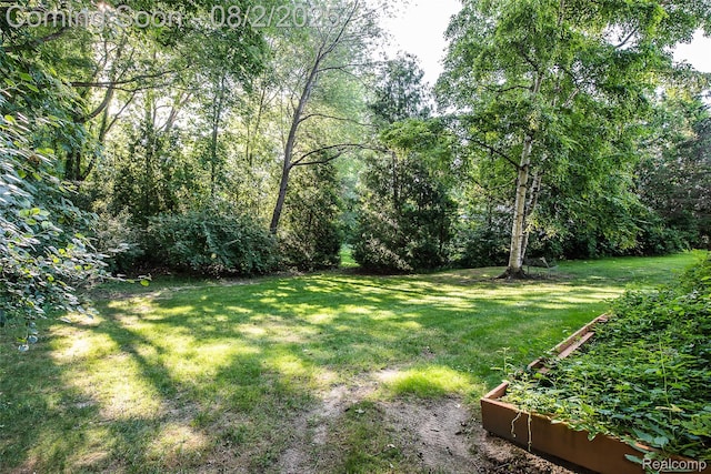 978 Alpine Dr, Brighton, MI 48116 - photo 43