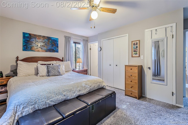 978 Alpine Dr, Brighton, MI 48116 - photo 20
