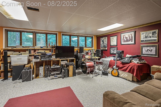 978 Alpine Dr, Brighton, MI 48116 - photo 29